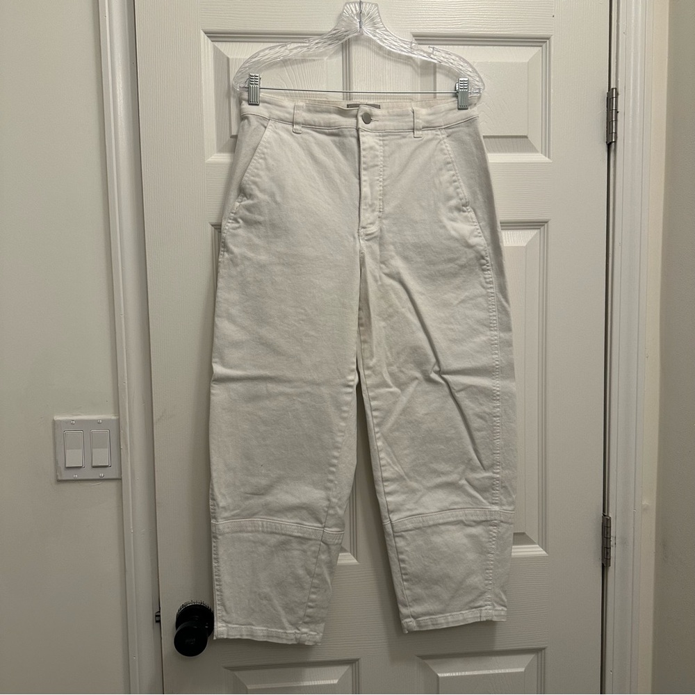 Everlane Utility Barrel Pant